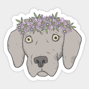 good girl - Weimaraner dog Sticker